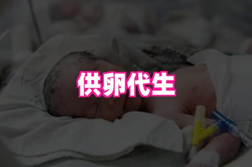 gfg孕网 1
