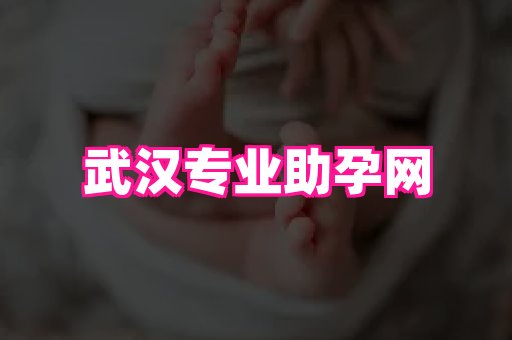 gfg孕网 3