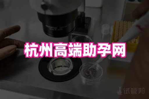 gfg孕网 4
